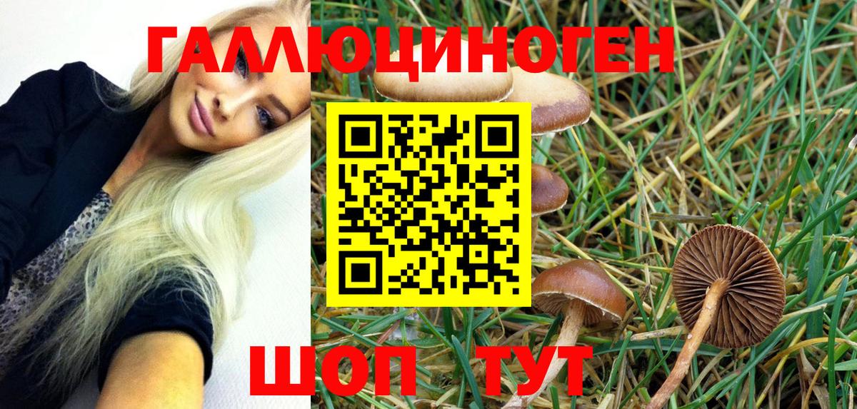 хочу   Вход с VPN  Рузаевка  Псилоцибиновые грибы Magic Shrooms 